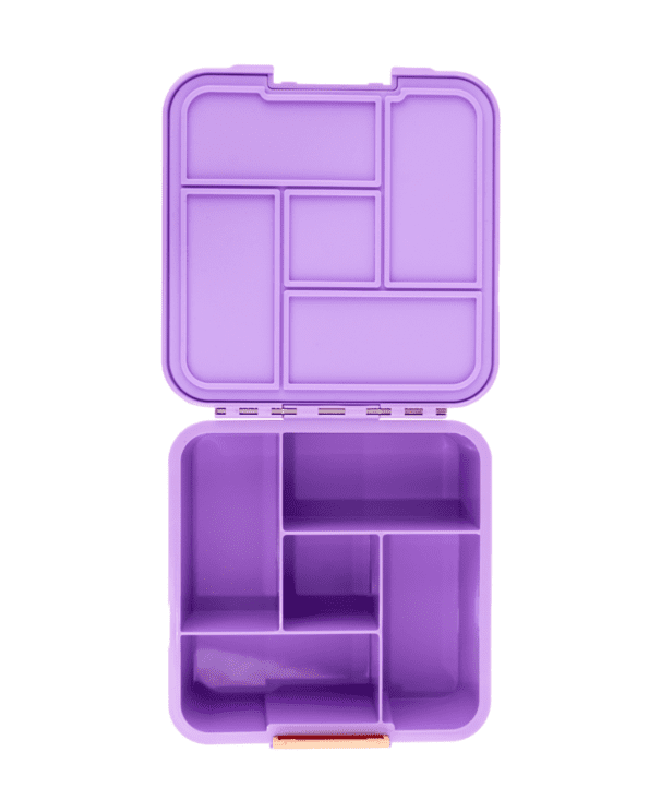 montiico lunchbox with 5 compartments