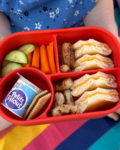 Δοχειο φαγητου σιλικόνης με 3 χωρίσματα Pick Box Bento – Ροζ Κοκκινο